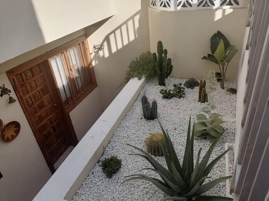 Casa Las Pencas De Margarita Los Realejos Eksteriør bilde